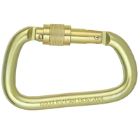 Dispositif de descente extra large et robuste DZ 45kn, mousqueton à verrouillage, accessoire de ceinture de sécurité pour l'escalade, verrouillage à vis, couleur dorée