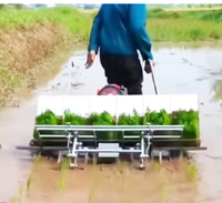 Transplanteur de riz manuel économique, outil agricole à faible entretien pour les fermes rurales