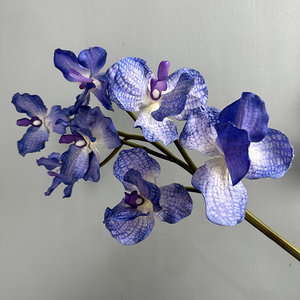 7 têtes Tactile <span class=keywords><strong>Vanda</strong></span> <span class=keywords><strong>Orchidée</strong></span> Fleurs Artificielles Haute Qualité Texture D'humidité Réaliste pour La Décoration Intérieure Mariage Halloween - Product Image 6