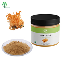 Complément Alimentaire Extrait de Cordyceps Militaris en Poudre, 2% de Cordycepine par HPLC
