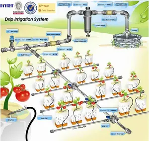 Farm and greenhouse Drip Irrigation Systems Design