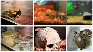 Hars Boom Truck Versiering Ornament Aquarium Aquarium Aquarium Schuilplaats Grotten Kleine Dierenhabitats Garnalen Verbergen Grot - Product Image 6