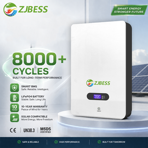 Sistema <span class=keywords><strong>de</strong></span> Batería <span class=keywords><strong>de</strong></span> Litio para Energía Solar <span class=keywords><strong>de</strong></span> 5KWH 10Kwh 51.2V, LiFePO4, <span class=keywords><strong>Protección</strong></span> Inteligente BMS, Montaje en Pared, Almacenamiento <span class=keywords><strong>de</strong></span> Energía Residencial - Product Image 4
