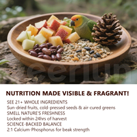Alimentation pour oiseaux à base de calcium, phosphore et légumes, fabriquée en usine OEM, favorise la solidité du bec, alimentation idéale pour les perroquets