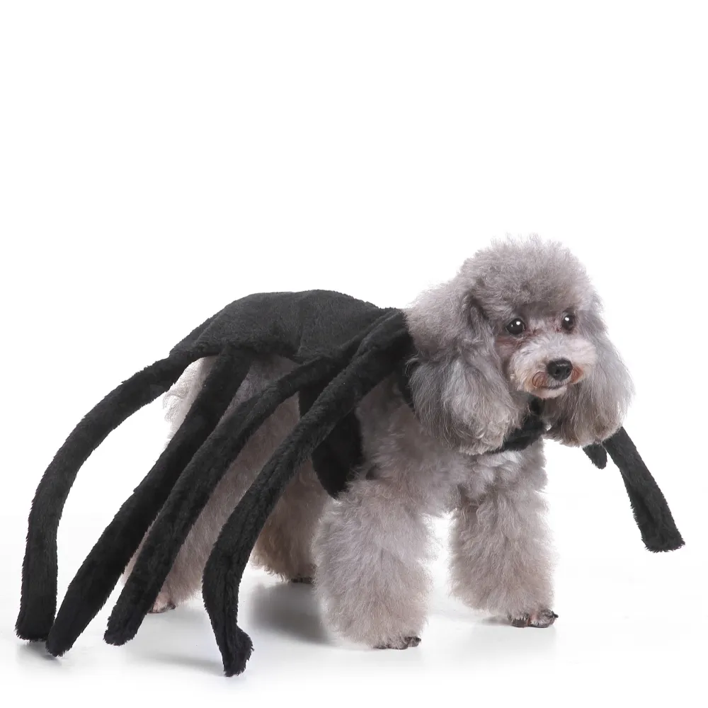 Offre Spéciale gros Halloween Look chien Transformation Costume vêtements pour animaux de compagnie pour petit moyen grand gros chien chat vêtements
