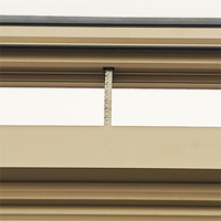 Fenêtre de toit électrique verticale automatique en alliage d'aluminium Rolansini NFRC, résidentielle et commerciale, avec isolation thermique