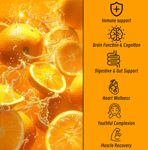 Capsules de Vitamine C Liposomale les Plus Vendues avec Vitamine C pour la Fonction Cérébrale, la Cognition et la Nutrition – Compléments Alimentaires Naturels à Base de Plantes en Capsules - Product Image 6