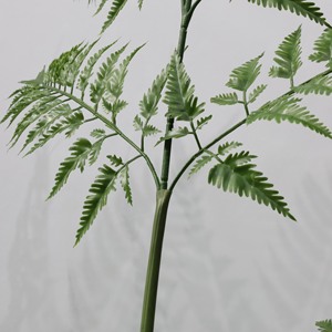 ต้นเฟิร์นทองในกระถาง ต้นเฟิร์นหัวลิงแบบตั้งพื้น ต้นบอนไซตกแต่งภายในอาคาร ต้นไม้และพืชประดิษฐ์ - Product Image 3