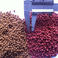 Nouvelle extrudeuse à double vis en acier inoxydable pour les aliments flottants pour crevettes de poisson Capacité de 20 tonnes/H Production automatique d'aliments pour poissons