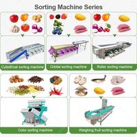 Visgrootte Voedsel Slak Kiwi Sorteerder Grader Sorteermachine Granaatappel Levend Apollo Fruit Gewichtssorteermachine voor RVS