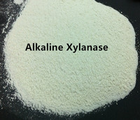 Xylanase alcaline de qualité supérieure à prix compétitif pour le blanchiment de la pâte à papier