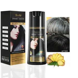 OEM Private Label Ginger Herbal Natural Permanente Cabelo Tintura Cor Rápida Magia Orgânica Preto Escuro Anti Cinza Cabelo Cor Shampoo