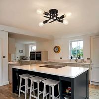Plafonnier LED Industriel Moderne Noir E27/E26, 4 Ampoules, Lampe en Fer IP33 pour Éclairage de Maison et de Bureau