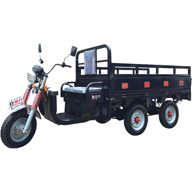 Chang Li Electric Tricycle Motorcycle 3 Wheels Tuk Tuk Car Five Wheel Motor Scooter