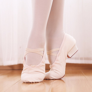 Vente en gros de haute qualité Ballet professionnel danse toile professeur chaussures de personnage femmes chaussures de ballet à talons bas - Product Image 4
