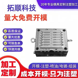 Molde de Inyección de Plástico 004A para Moldeo de Plástico, Mecanizado CNC en Guangdong - Product Image 5