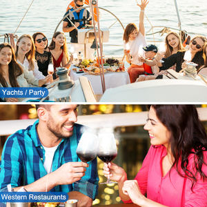 Meilleures ventes Équipement de fabrication de blocs de glace sèche pour la vente au détail pour les restaurants, les bars, les hôtels - Product Image 4