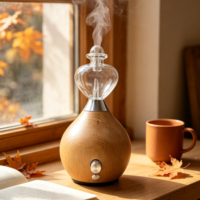 Diffuseur d'arômes d'huiles essentielles en verre de haute qualité, sans eau, pour hôtel, maison, parfum d'ambiance