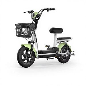 Bicicleta Eléctrica Urbana para Adultos, 2 Ruedas, Cuadro de Acero, Motor Trasero sin Escobillas de 48V, 3 Velocidades, Pantalla Digital OLED - Product Image 1