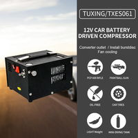 Compresseur d'air PCP TUXING personnalisé avec logo, sans huile, 4500 psi, 300 bar, 30 MPa, 220 V, 12 V CC, gonflage rapide, prise domestique, pour voiture, paintball