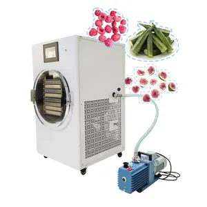 Energy Saving 6 Kg Household Food Candy Flowers Lyophilizer Machine Vacuum Freeze Dryer For Sale