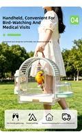 Vente directe d'usine, cage à oiseaux portable moderne de luxe respirante avec plateau en plastique et bouton à pression, cage à perroquet de haute qualité