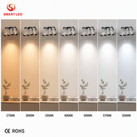 Spot LED encastré 6W 12W 25W 12 Watt avec CCT réglable, éclairage orientable Tuya Dali 1-10V Triac dimmable