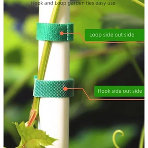DANSKY 1/<span class=keywords><strong>2</strong></span> en cinta de jardín verde, soporte de planta de gancho y bucle cortado a medida para replantear, entrenar y organizar tomates, vides - Product Image 5