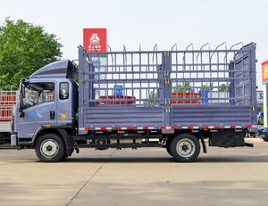 Nuevo Camión HOWO Sinotruk de 5 Toneladas, Mini Camión 4x2 <span class=keywords><strong>4x4</strong></span>, Cabina Sencilla, Ligero, 4 Ruedas, 6 Ruedas, Camión de Carga Diésel, Volante a la Izquierda/Derecha, Camiones con Reja - Product Image 4