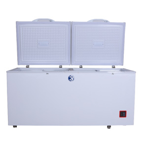 Congélateur coffre blanc à double porte, température unique, dégivrage manuel, première classe d'efficacité énergétique pour le stockage domestique et commercial - Product Image 1