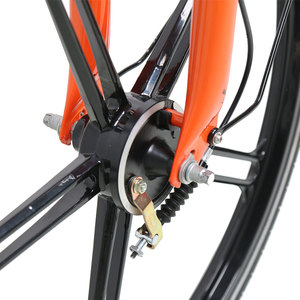 Système de partage de vélos électriques TXED personnalisé 36V/250W, batterie au lithium, moteur à moyeu arrière, autonomie de 70 km, vitesse maximale de 25 km/h - Product Image 6