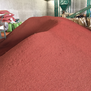 น๊อตถั่วอันัตโตะจากเวียดนาม - Product Image 1