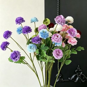 ดอกเบญจมาศสีม่วงหกหัว - Product Image 3