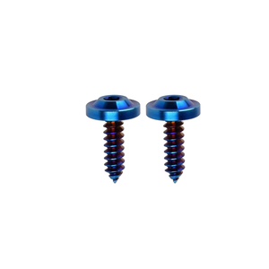 OEM Lớp 5 Titan M5 M6 <span class=keywords><strong>M8</strong></span> M10 <span class=keywords><strong>8</strong></span> 10 15 16 18mm T25 Torx đầu xe máy bu lông Tự Khai thác vít - Product Image 3