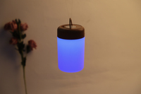 Lampe de nuit LED RGB colorée à intensité variable, contrôle tactile créatif, moderne, fonctionnant sur piles, lumière blanche chaude