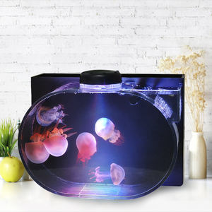 <strong>Tabletop</strong> Viewing <strong>Small</strong> <strong>Aquarium</strong> Simple <strong>Small</strong> Fish Breeding tank Transparent Fish tank Fish <strong>Aquarium</strong> tank <strong>Aquariums</strong> - Product Image 3