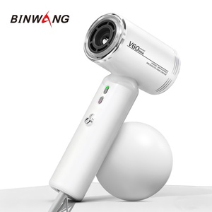 Asciugacapelli Portatile Professionale Binwang Doppia Ten Sione 1200W ad Alta Velocità con Impostazioni di Velocità e Calore Regolabili - Product Image 1