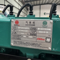 Groupe électrogène au gaz naturel, biogaz, GPL, gaz de synthèse RONSUN de 200 kW utilisant le moteur Weichai WP13