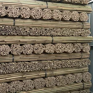 Bastones de bambú, estacas de bambú, 120CM, materiales sin procesar