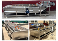 Machine de nettoyage de fruits et légumes à base de maïs Cactus Raisin Pastèque Laveuse avec moteur pour pomme Orange Noix de coco Lavage de la viande