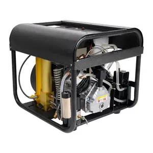 ManufactureR Direct Sale LCD 300bar 4500psi 30mpa Electric 110V 220V Auto Purge Double Cylinder Compressor for Dive Tank