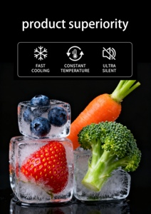 -<span class=keywords><strong>Congelatore</strong></span> <span class=keywords><strong>orizzontale</strong></span> di grande capacità da 1580 litri <span class=keywords><strong>a</strong></span> temperatura Ultra bassa 45 °C - Product Image 4