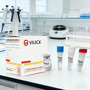 デングウイルス亜型凍結乾燥リアルタイムPCR診断キット（デング診断用）VIUICK CM-R-0102B - Product Image 1