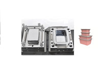 Fabricante Profesional que Suministra Cajas de Almacenamiento de Plástico para el Hogar, Molde de Inyección con Expulsión Automática, Modelo MH-064