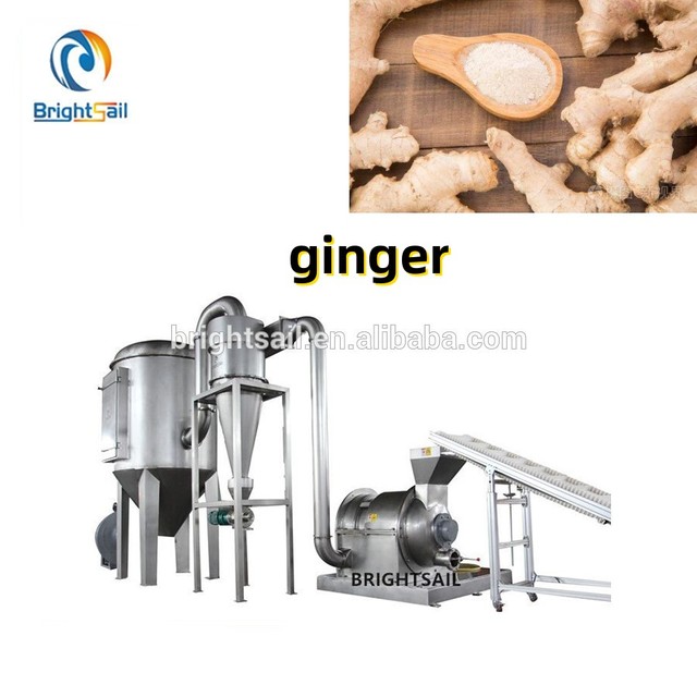 Turmeric Dry Ginger Curry Sugar Flour Tea Flower Salt Powder Crusher Hammer Mill Crushing Machine Grinder Brightsail