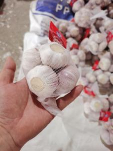 Base de <span class=keywords><strong>planta</strong></span> de ajo de China, suministro de fábrica, ajo blanco y rojo puro fresco, 50/60/70mm, ajo blanco fresco, nueva cosecha - Product Image 2