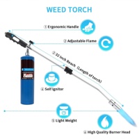 Chalumeau propane à gaz Brûleur de mauvaises herbes Chalumeau Briquet à vapeur de jardin Lance-flammes US