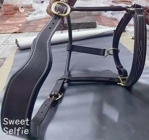 Licou à couture de fantaisie avec intérieur en néoprène, casque anatomique, matériel en acier Standard disponible en toutes les tailles - Product Image 5