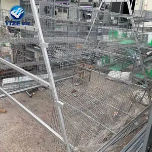 Jaula de pollo a prueba de gallinas Corridas de pollo a la venta Jaulas de batería de pollo a la venta Coop