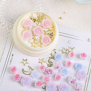 Vente en gros de décorations pour ongles en forme de rose 3D, breloques en résine, bijoux papillon DIY, accessoires pour ongles - Product Image 1